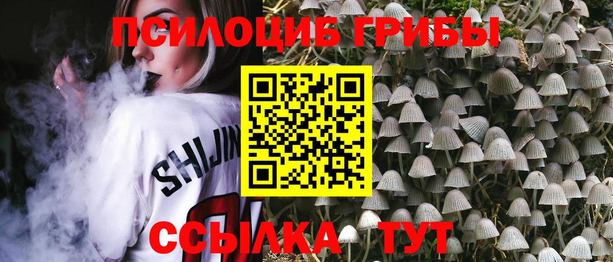 Галлюциногенные грибы мицелий  Вход с VPN  Усть-Джегута  Псилоцибиновые грибы Psilocybine cubensis 