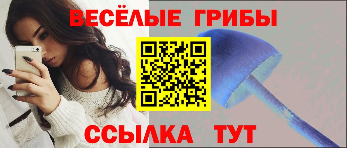 Галлюциногенные грибы GOLDEN TEACHER Усть-Джегута